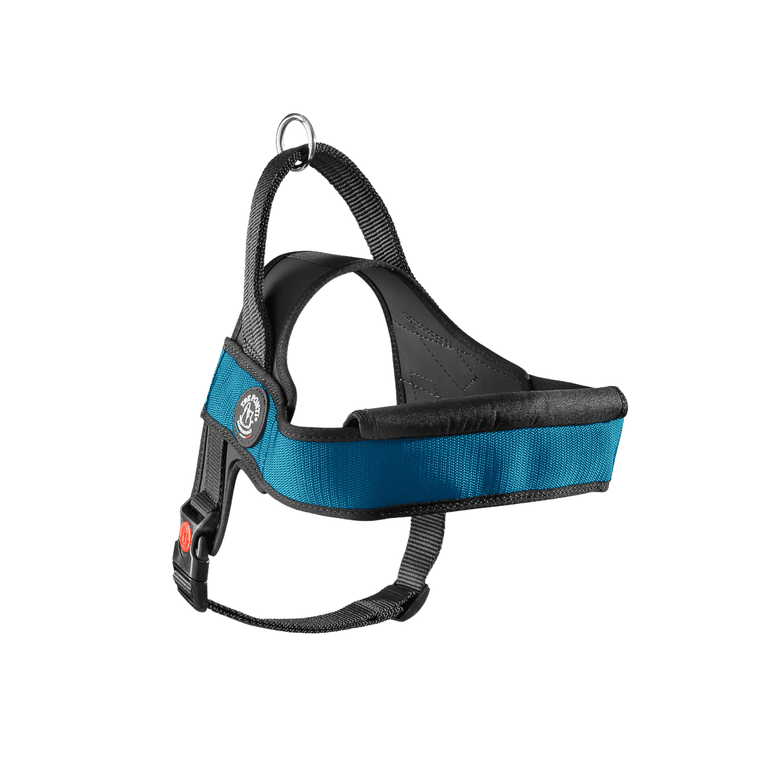 Ergonomisches Hundegeschirr in Blau-Schwarz mit gepolsterten Gurten und stabilem D-Ring für optimale Sicherheit und Komfort.