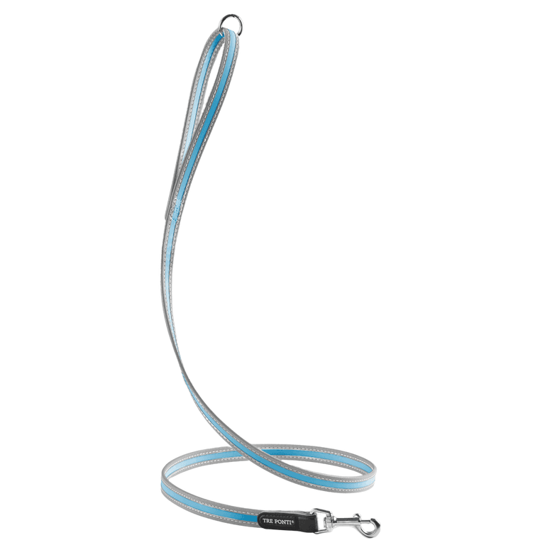 Hochwertige blaue und silberne Hundeleine mit stabilem Metallkarabiner, ideal für Gassi-Spaziergänge.