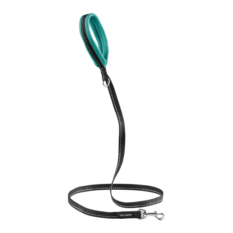 Türkise Hundeleine mit reflektierenden Nähten, stabilem Karabiner und ergonomischem Griff. Ideal für sichere Spaziergänge.