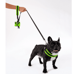 Hund mit grünem Geschirr an schwarz-grüner Leine, Hand hält die Leine, kleine Tasche im Hintergrund befestigt.