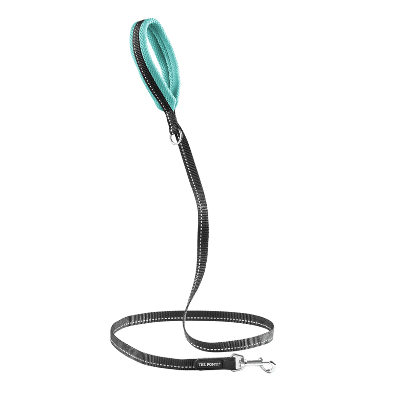 Hundeleine mit gepolstertem hellblauem Griff und schwarzem, gewebtem Leinenkörper, inklusive Metallkarabinerhaken.