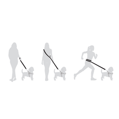 Mehrere Personen mit Hunden, die ein ergonomisches Hundeleinen-System für verschiedene Aktivitäten nutzen.
