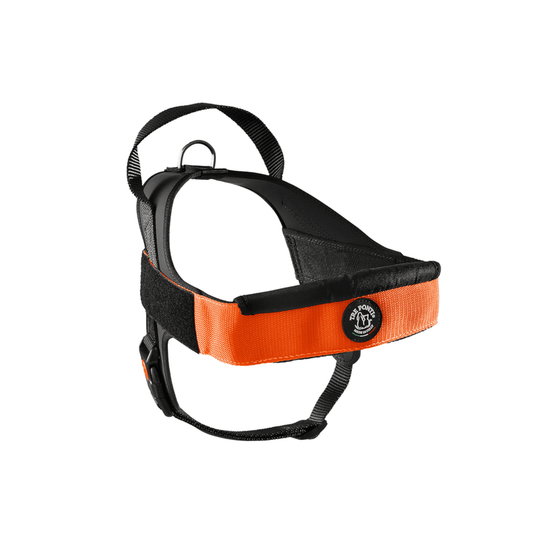 Oranges und schwarzes Hundegeschirr mit verstellbaren Riemen und gepolstertem Komfort für optimale Sicherheit beim Spaziergang.