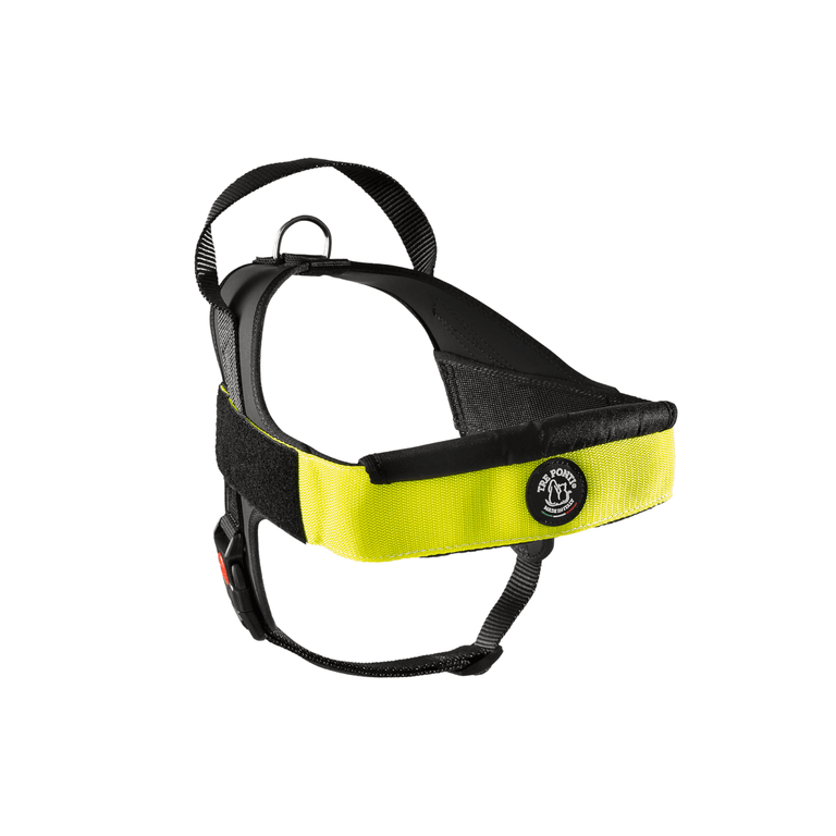 Gelb-schwarzes Hundegeschirr mit gepolstertem Halsband und verstellbaren Riemen für optimalen Komfort und Sicherheit.