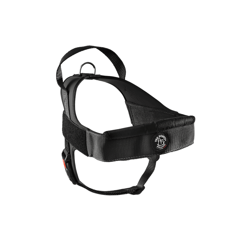Schwarzes, verstellbares Hundegeschirr aus Velcro® mit D-Ring und weicher Polsterung für optimalen Komfort.