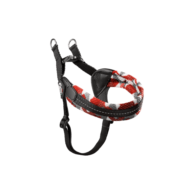 Rotes und graues Hundegeschirr aus strapazierfähigem Material mit verstellbaren Riemen und geflochtenem Design.