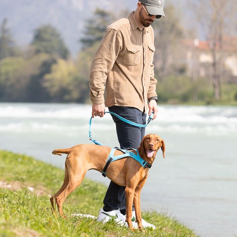 Mann mit beige Jacke und Cap hält die Leine eines braunen Hundes am Gewässer, der ein blaues Geschirr trägt.