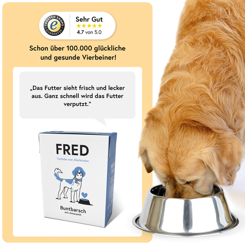 Hund frisst aus Fressnapf, neben ihm die blau-weiße Verpackung von FRED Buntbarsch mit Amaranth, Produktbeschreibung sichtbar.