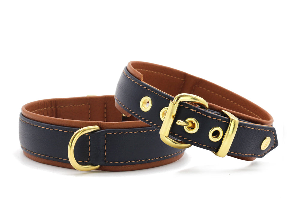 Elegante Lederhalsbänder in dunkelblau und braun mit goldfarbenen Schnallen und D-Ringen. Ideal für stilbewusste Hunde.