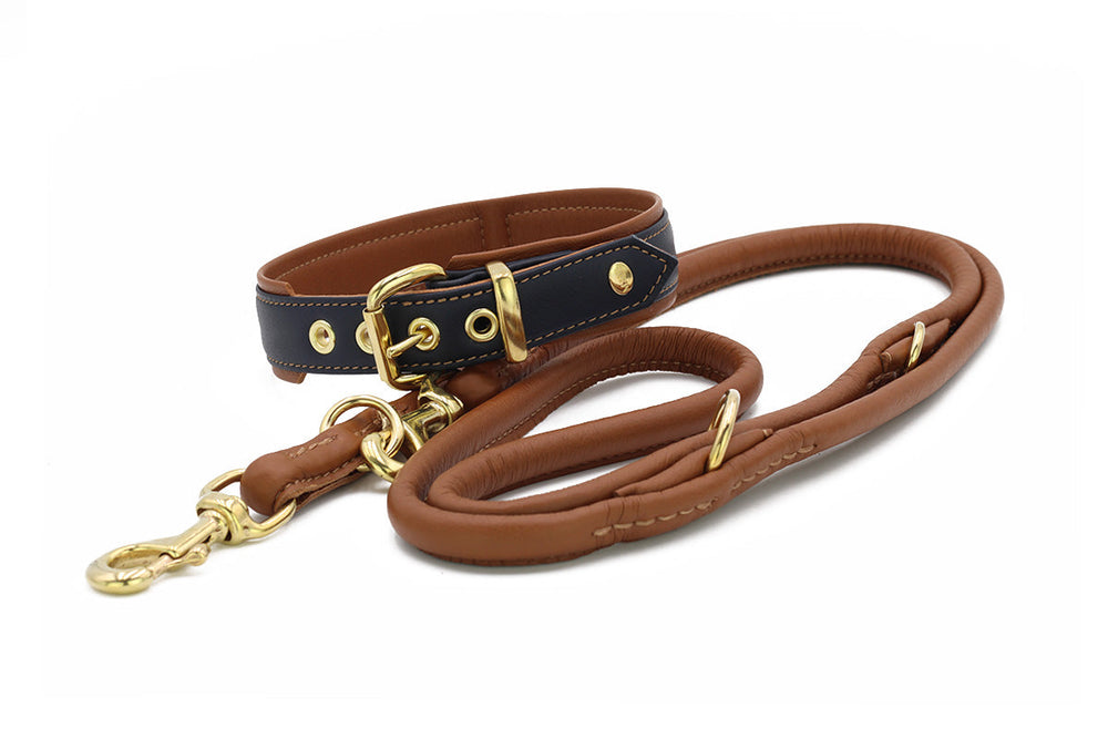 Hochwertige braune Hundeleine aus geflochtenem Leder mit goldfarbenen Beschlägen und blauer Akzentlinie.