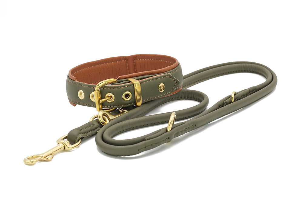 Halsband und Leine in Olivgrün mit gepolstertem braunem Innenfutter und goldenen Schnallen für Hunde.