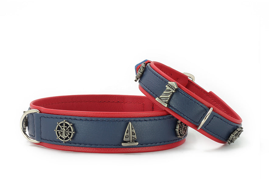 Zwei Hundehalsbänder in Blau mit roten Akzenten, eines groß und das andere kleiner, beide mit silbernen Details.