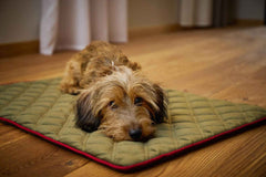 „Strapazierfähige Hundedecke OXFORD in edler Samtoptik, perfektes Zuhause für Hunde mit braunem Fell.“