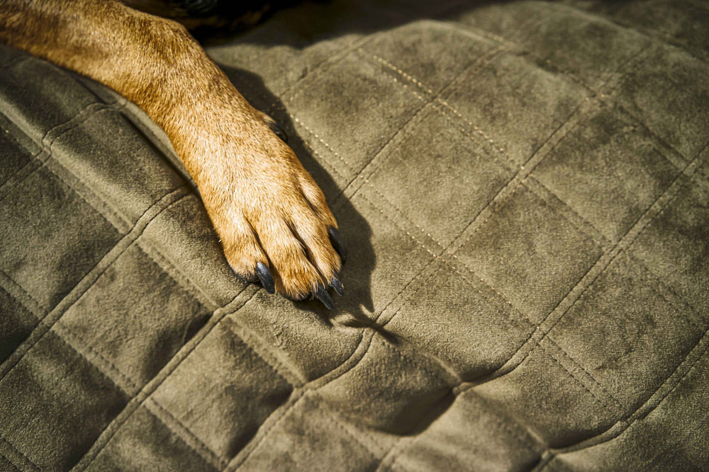 "Strapazierfähige Hundedecke OXFORD in olivgrün, quiltartig mit Hundepfote, perfekt für gemütliche Kuschelstunden."