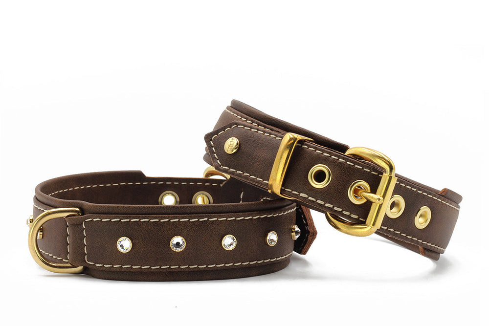 Braune Lederhalsbänder im Old English Stil mit goldenen Beschlägen und glitzernden Steinchen. Einmal mit Schnalle, einmal schlicht.