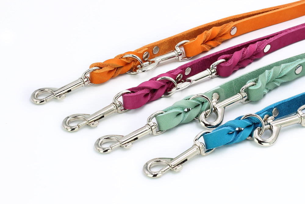 "Fünf farbige Hundeleinen in Orange, Lila, Grün, Blau und Hell mit silbernen Karabinerhaken, aus geflochtenem Material."