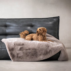 Kuscheldecke SOFT AFFAIR auf modernem Sofa mit braunem Hund, ideal für Gemütlichkeit und Stil.