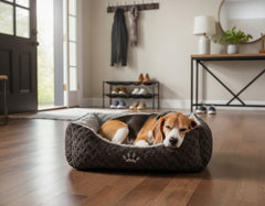 Entspannter Hund schläft im grauen Komfortbett SEOLI in einem hellen, freundlichen Raum mit Holzfußboden.