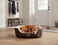 Hund entspannt in ovalem Komfortbett TAIKA, umgeben von einer gemütlichen Wohnatmosphäre.