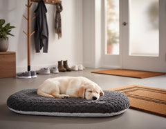 Schlafender, hellgelber Labrador-Welpe auf ovalem grauen Hundebett in modernem, lichtdurchflutetem Raum.