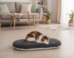 Gemütliche Katze liegt auf ovalem, dunkelgrauem Kissen SEOLI in modernem, einladendem Raum mit Sofa und Pflanzen.