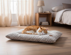 Schlafende orange-weiße Katze auf grauem Komfortkissen in gemütlichem Raum mit sanftem Licht.