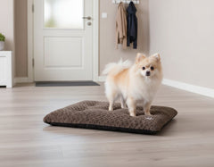 Kleiner Hund auf weichem braunen Komfortkissen NEIKU in einem hellen Raum, Blick in die Kamera gerichtet.