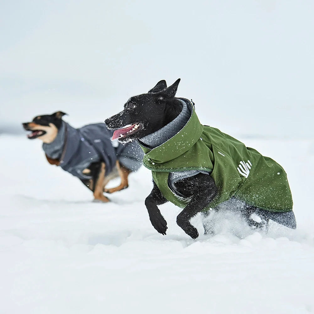 Walk All-Season – Hundejacke – zusätzliche Produktansicht 2