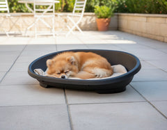 Schlafender Pomeranian-Hund im grauen Kunststoffbett auf gepflastertem Außenbereich, umgeben von Pflanzen und Gartenmöbeln.