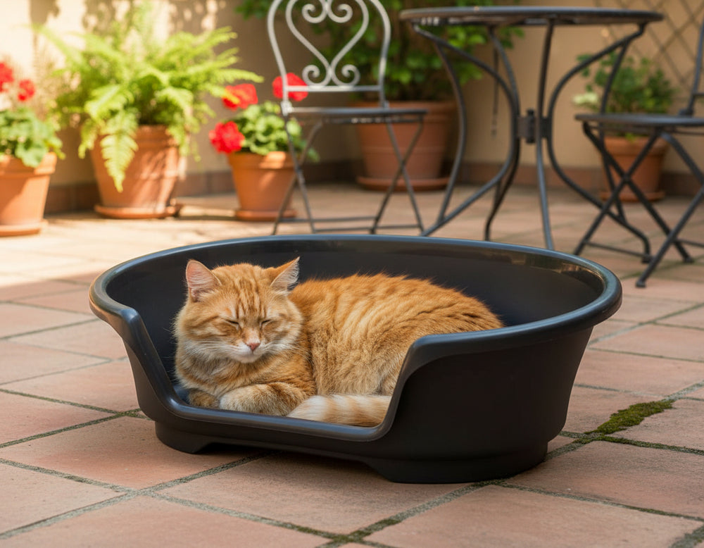 Orangefarbene Katze entspannt in schwarzem Katzenbett auf einer gemütlichen Terrasse zwischen Pflanzen und Möbeln.