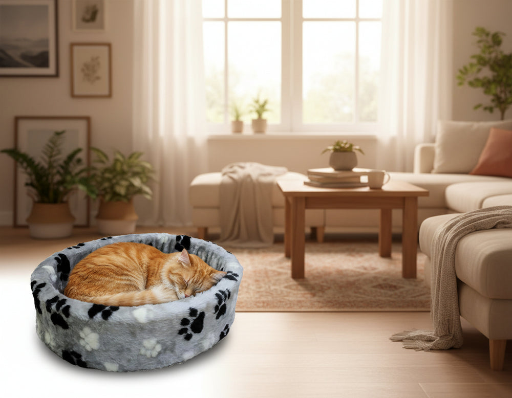 Gemütliches Wohnzimmer mit grauem Plüschbett für Katzen und einer schlafenden orangefarbenen Katze.