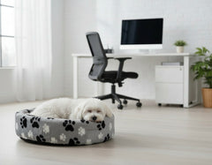 Kleiner weißer Hund im grauen Plüschbett mit Pfotenmuster in hellem Raum mit Schreibtisch und Pflanze.