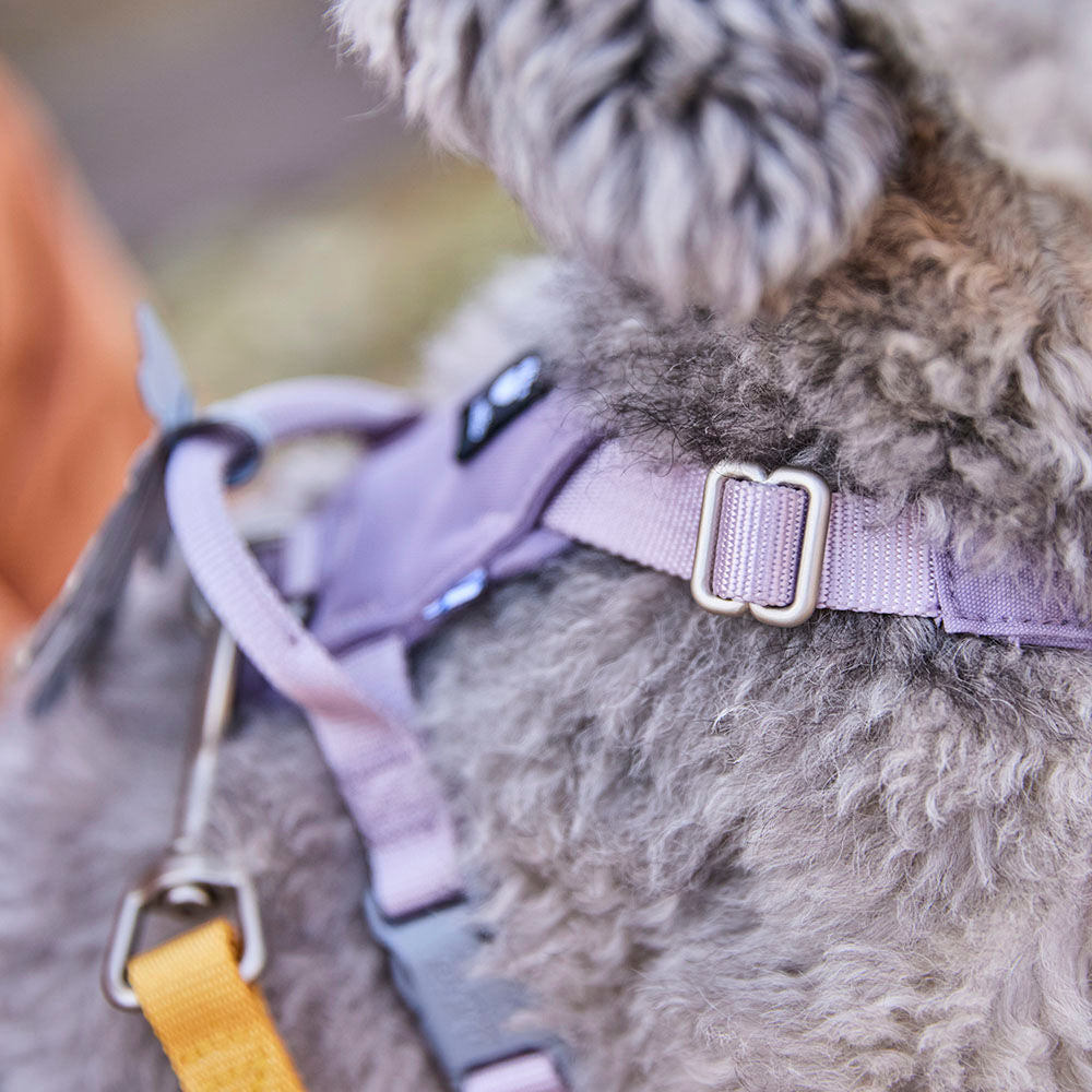 Hundegeschirr Seeker – zusätzliche Produktansicht 6