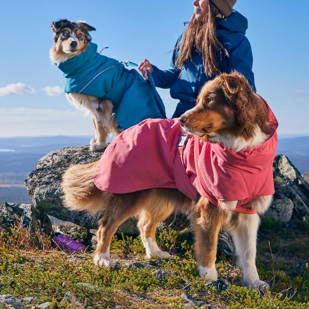 Hundejacke Expedition Parka II – zusätzliche Produktansicht 7
