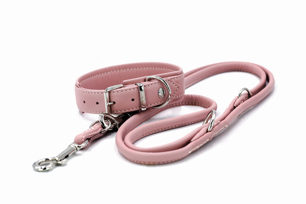 Rosa Lederhundeleine mit silberner Schnalle und Schlaufe, elegant und praktisch für stilvolle Hundebesitzer.