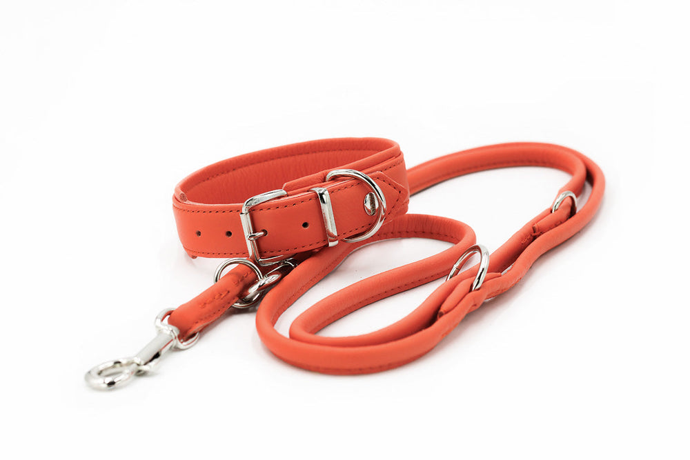 Orangefarbene Leder-Hundeleine mit breiter Handgelenkschlaufe und silbernen Metallbeschlägen. Ideal für stilvolle Spaziergänge.