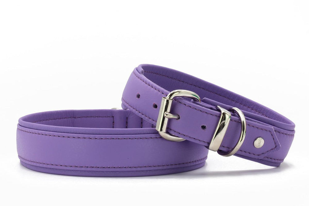 "Lila Lederarmbänder mit silberner Schnalle und glattem Design, farbenfroh und hochwertig verarbeitet."