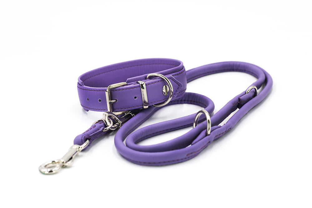 Lila Hundeleine aus robustem Material mit gepolsterter Haltetasche und verstellbaren D-Ringen für mehr Komfort.