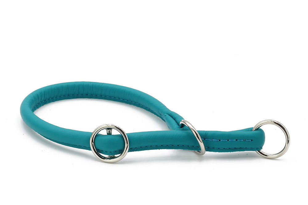 Türkisfarbenes, rundgenähtes Hundehalsband aus Leder mit gepolsterter Oberfläche und silbernen D-Ringen.