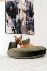 Brauner Französischer Bulldoggen-Welpe entspannt auf rundem Hundebett in stilvollem Raum mit farbenfrohem Kunstwerk.