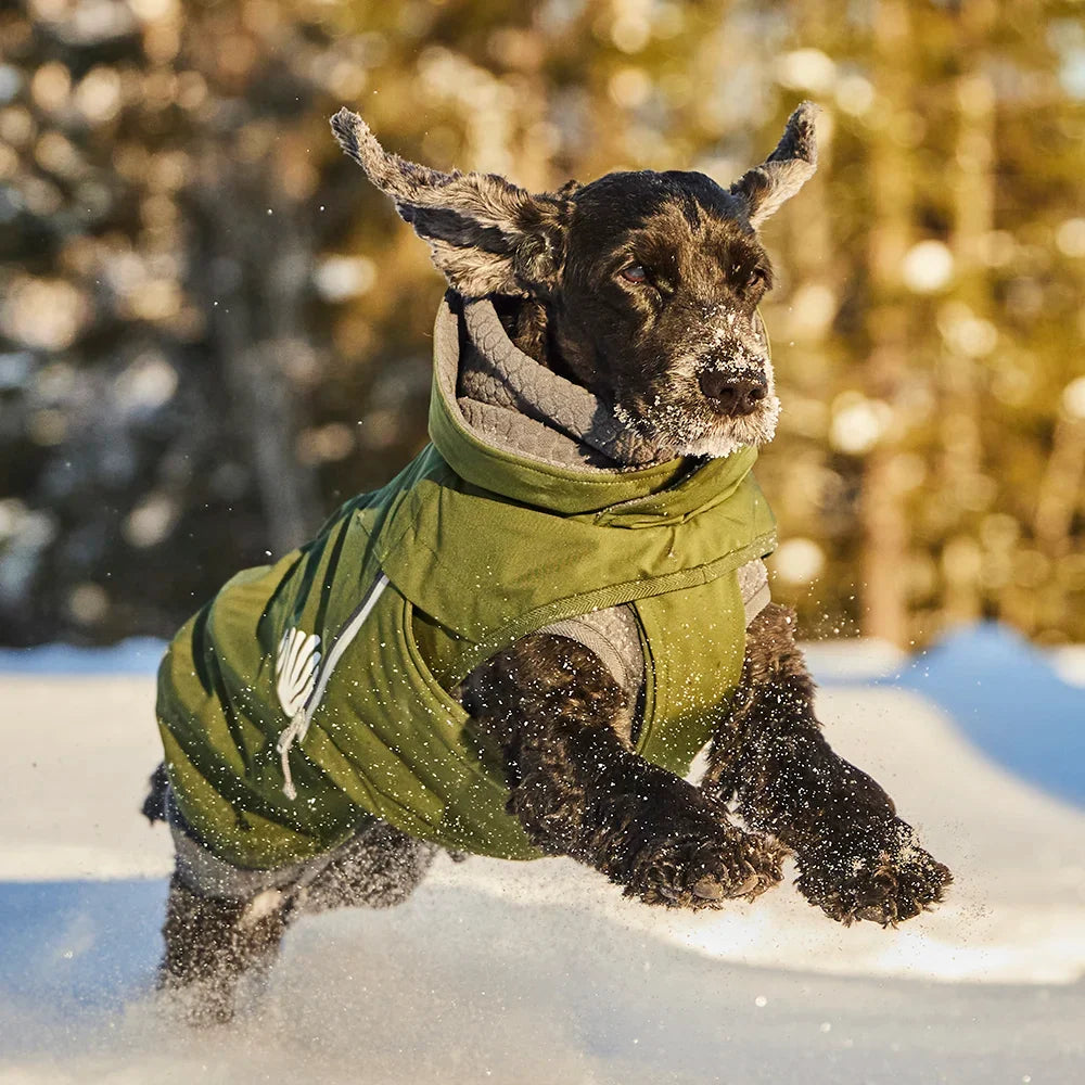 Walk All-Season – Hundejacke – zusätzliche Produktansicht 5