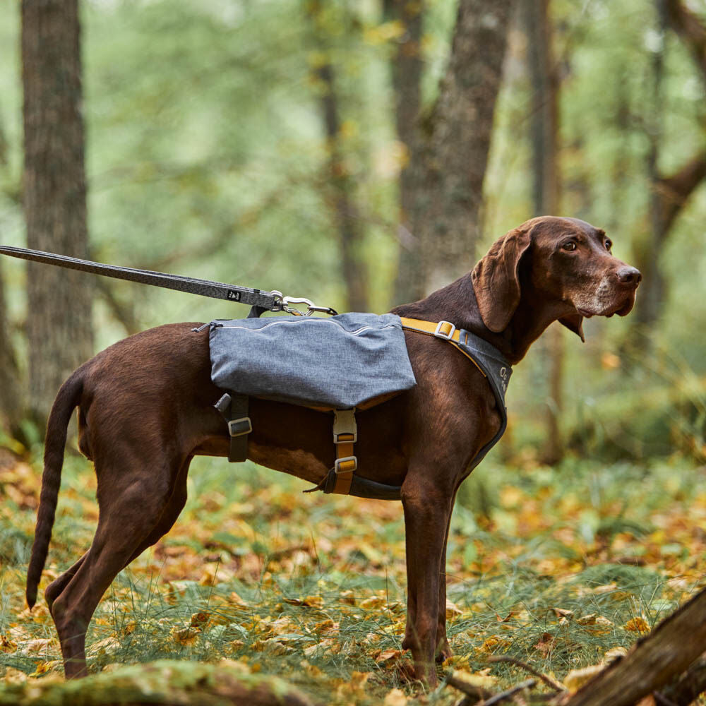 Hunderucksack Expedition Pack ECO – zusätzliche Produktansicht 3
