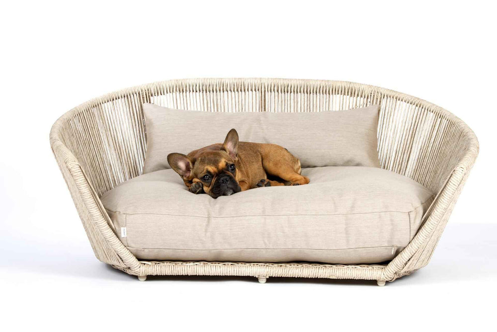 runde VOGUE Design-Hundebett SMOOTH mit beigem Kissen und brauner Französischer Bulldogge in neutraler Umgebung.