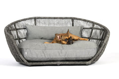 Kleiner brauner Hund entspannt auf grauem Design-Hundebett SMOOTH von PRADO im modernen geflochtenen Korbsofa.