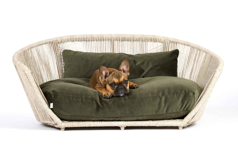 ALT-Text: Gemütliches VOGUE OXFORD Hundebett mit dunkelgrünem Polster, ideal für entspannte französische Bulldoggen.