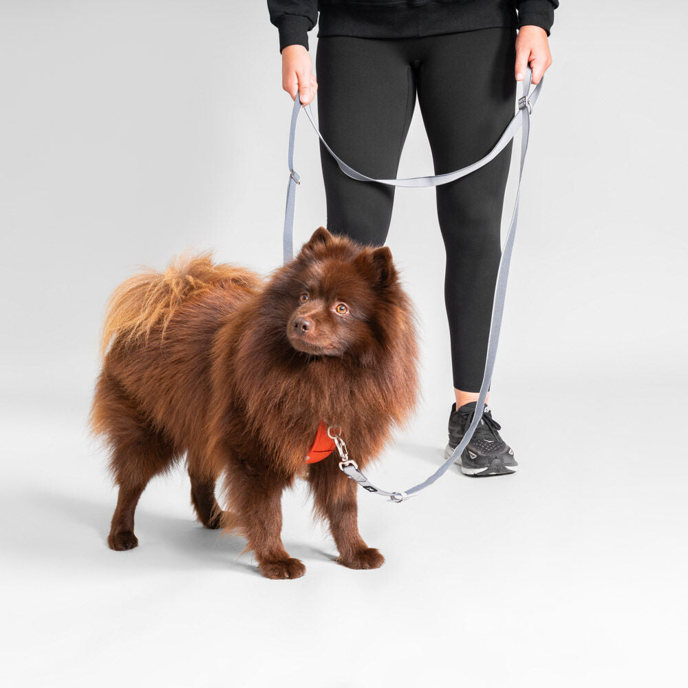 Hundeleine Multi-Long II – zusätzliche Produktansicht 4