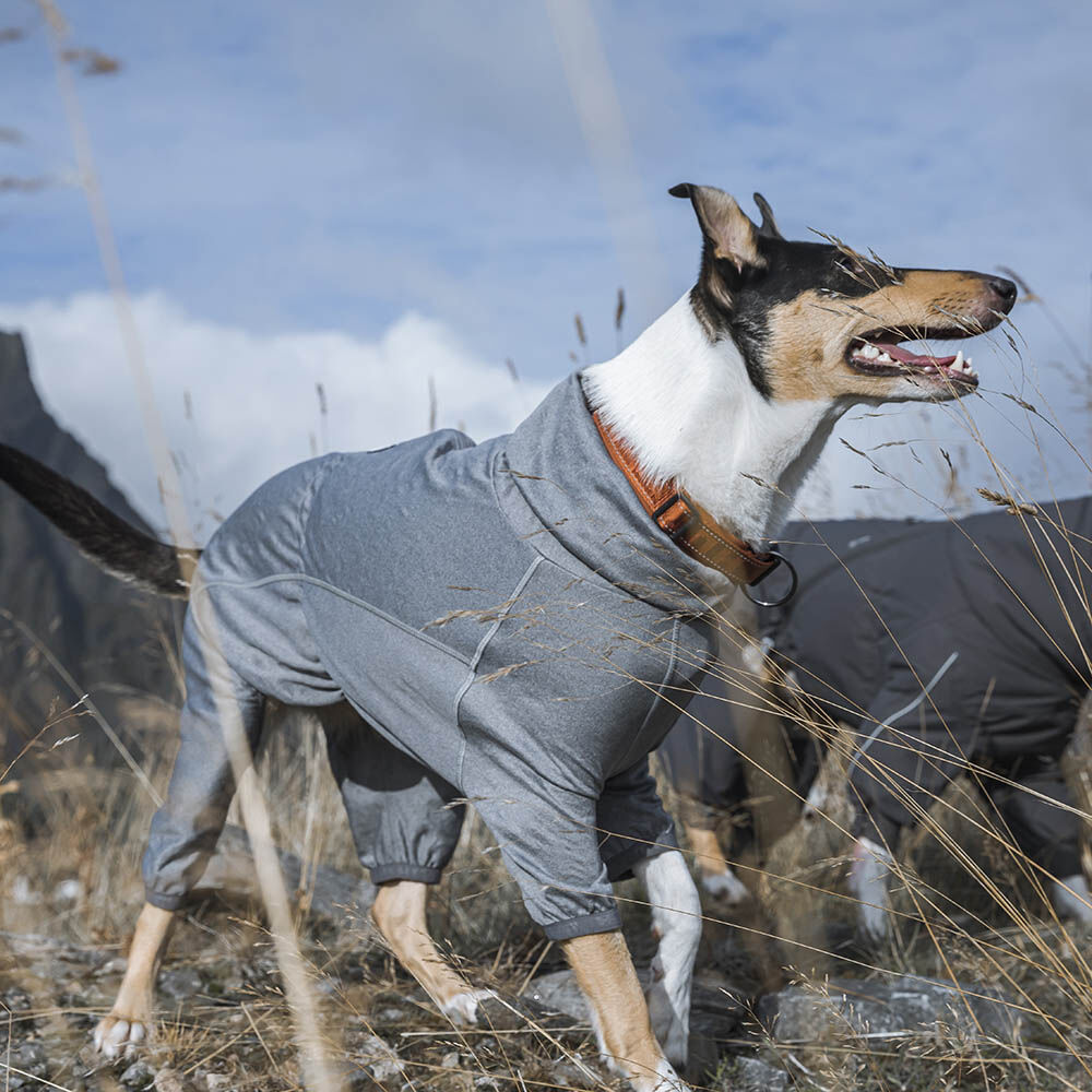 Hunde Overall Body Warmer Carbon – zusätzliche Produktansicht 1