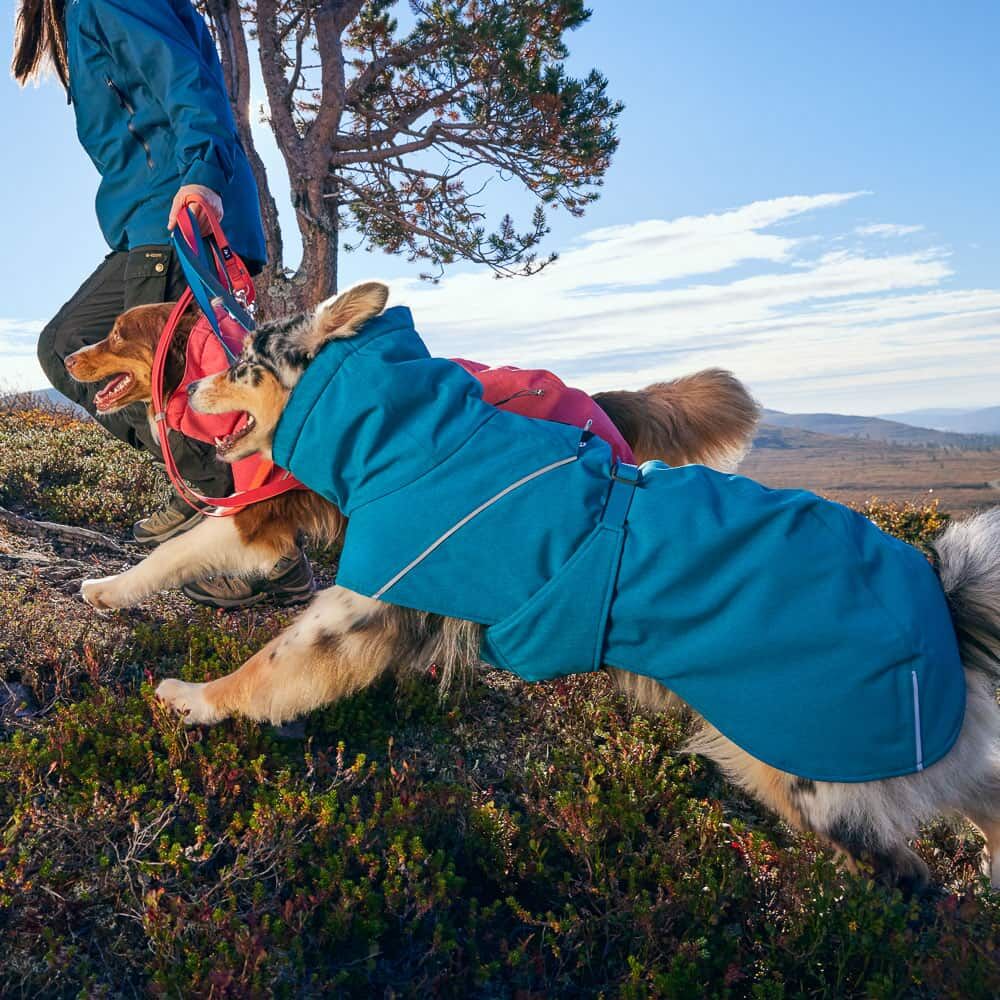 Hundejacke Expedition Parka II – zusätzliche Produktansicht 2