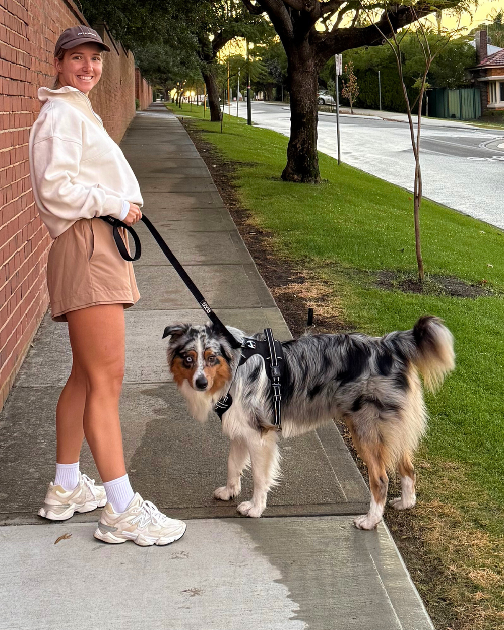 Person mit Australian Shepherd an der Leine, trägt Sweatshirt und Shorts, steht auf Gehweg. DOOG Neotech Geschirr sichtbar.