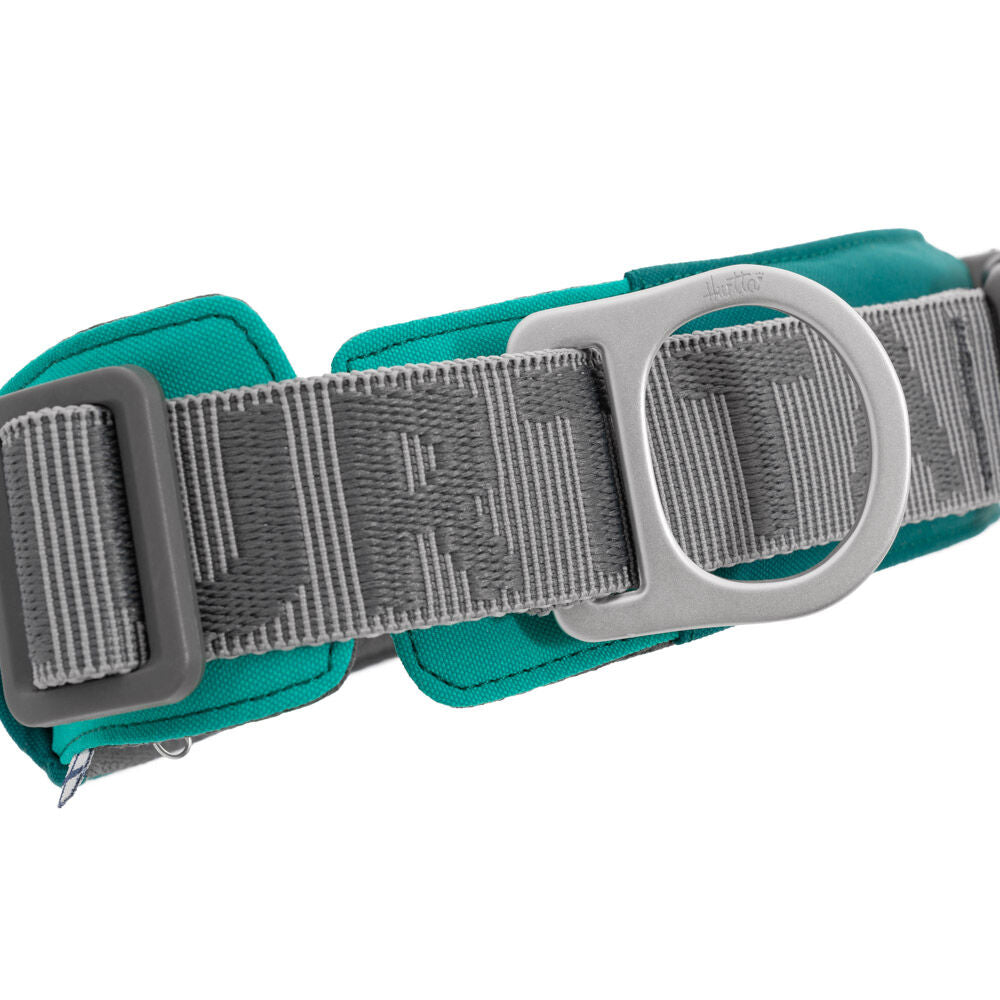 Hundehalsband Rover – zusätzliche Produktansicht 1